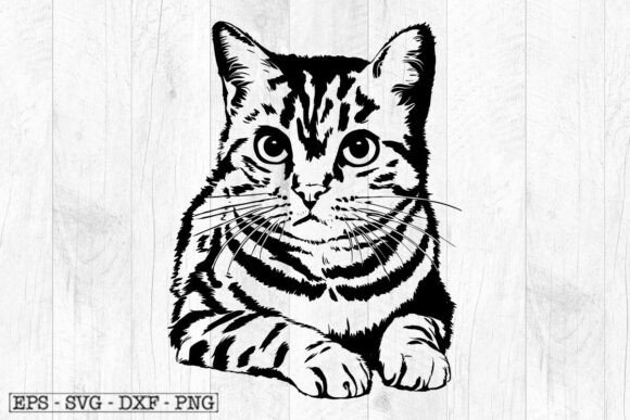 Cat Svg Download, Cat Svg Cut Files