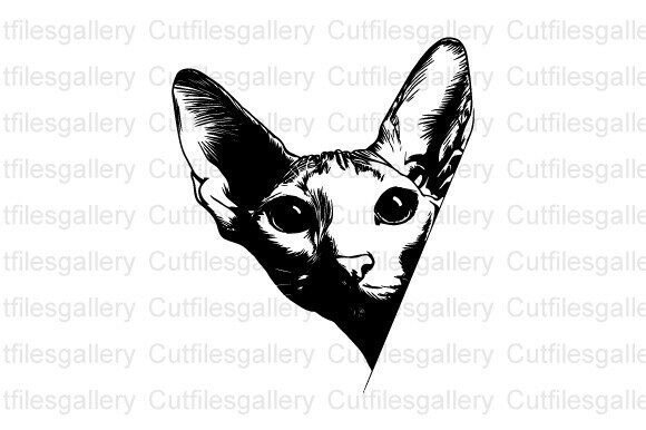 Peeking Oriental Shorthair Cat SVG, Cat
