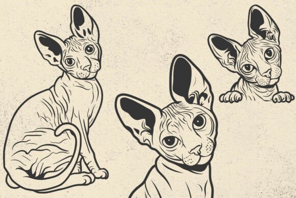 Sphynx Cat SVG Files Review